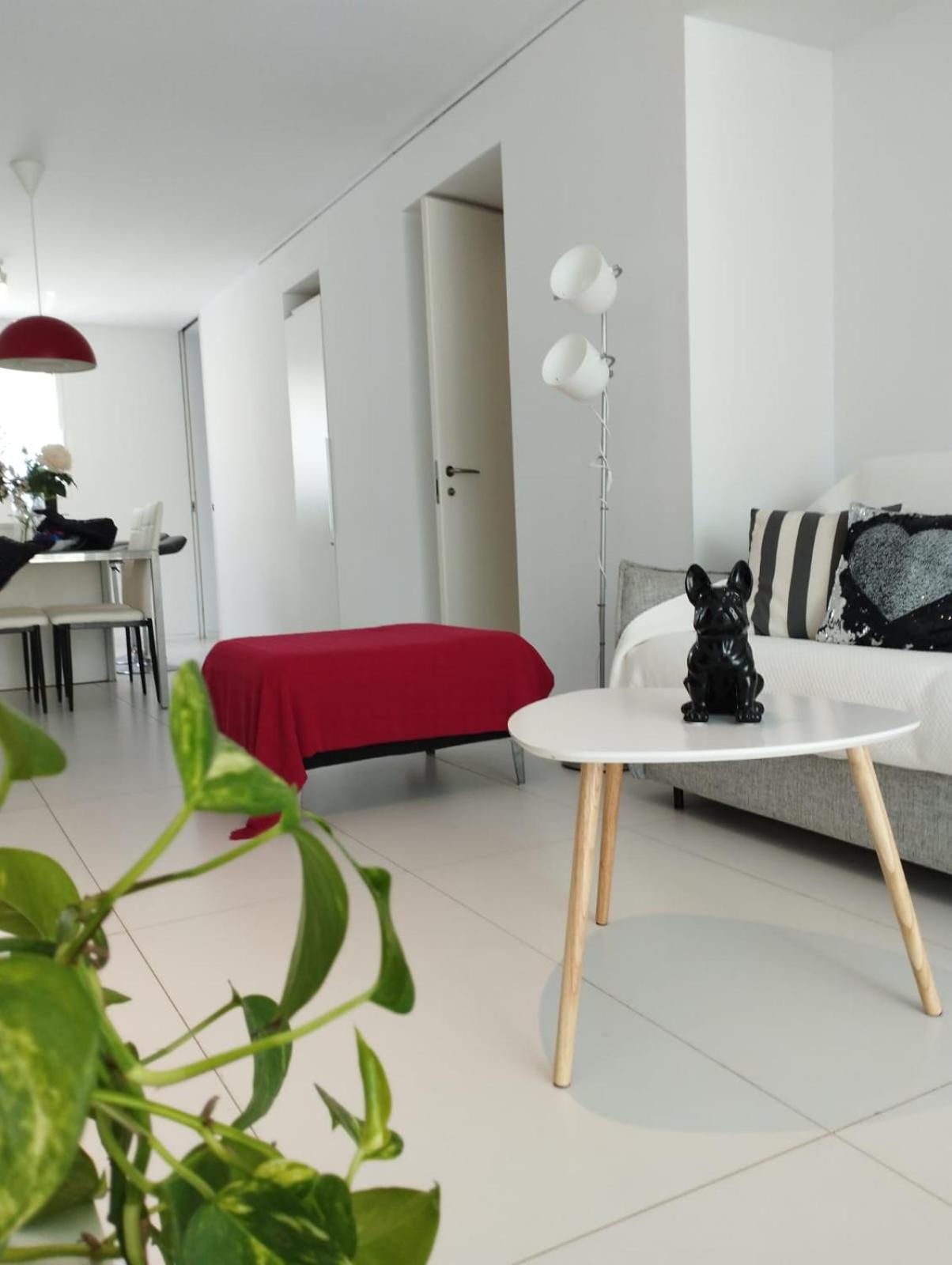 فندق The Loft Ibiza المظهر الخارجي الصورة